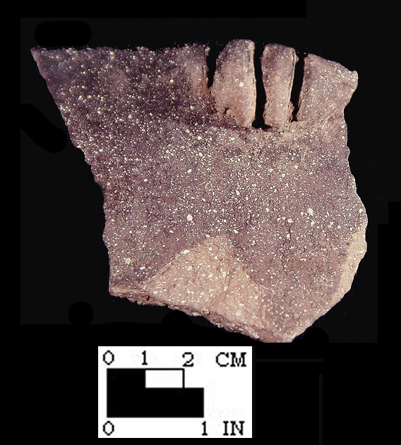 Keyser rim sherd with perforated node/lug from the Hughes site, 18MO1-SI Cat.# 392275-Courtesy of the Smithsonian Institution, Museum of Natural History, Department of Anthropology.